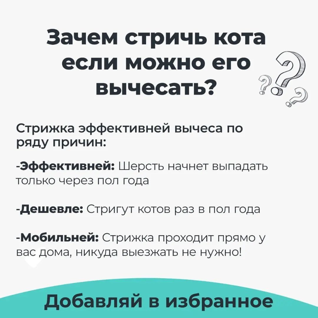Надоела шерсть в доме и на одежде? | Груминг выезд в течении 30 минут