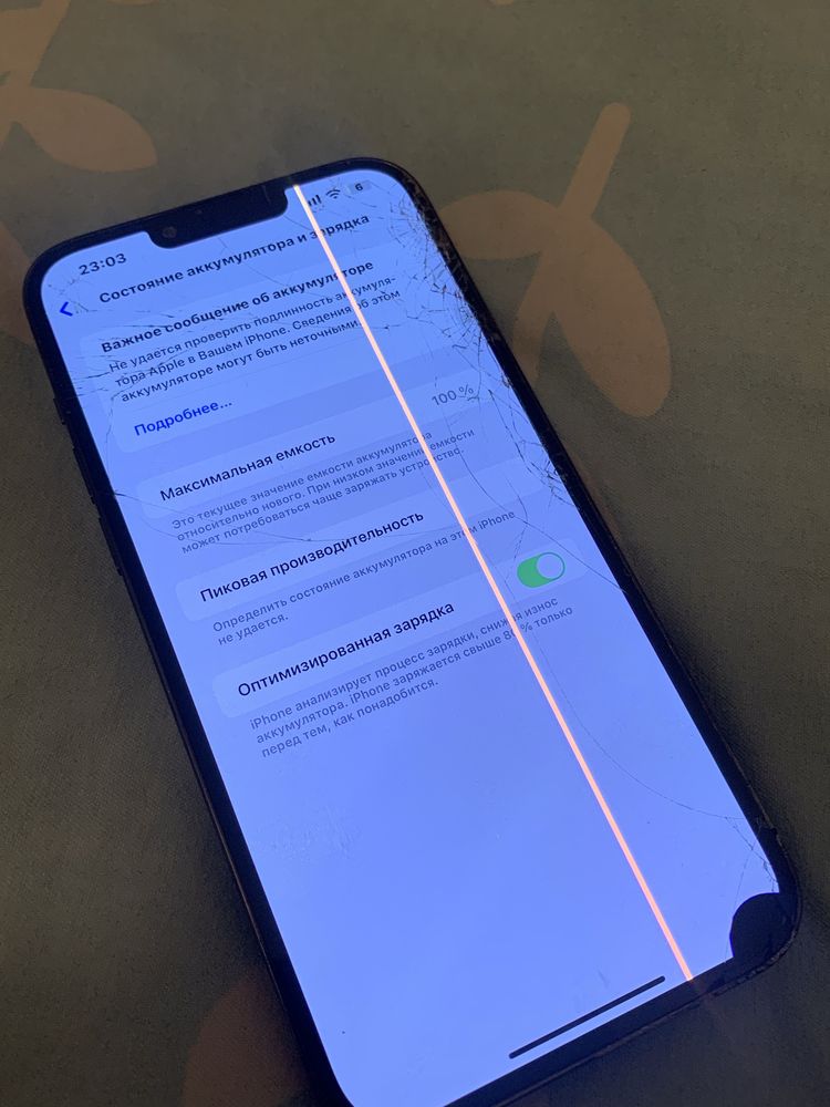 iPhone 13 Pro Max