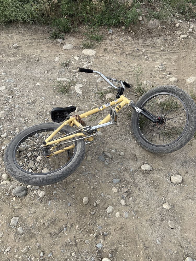 Bmx forward zigzag 20 2020
