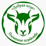 Натуральное козье молоко. Зааненская порода без запахов