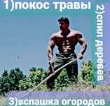 Покос травы , Вспашка  огородов, Спил  деревьев!