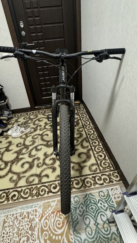 Giant talon 3 2021
