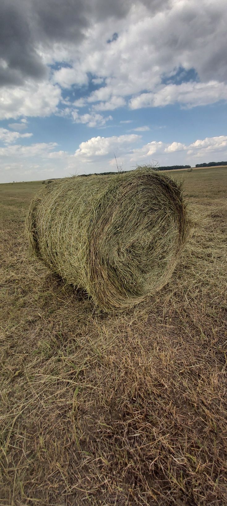 Земля, Ферма ТОО продам!