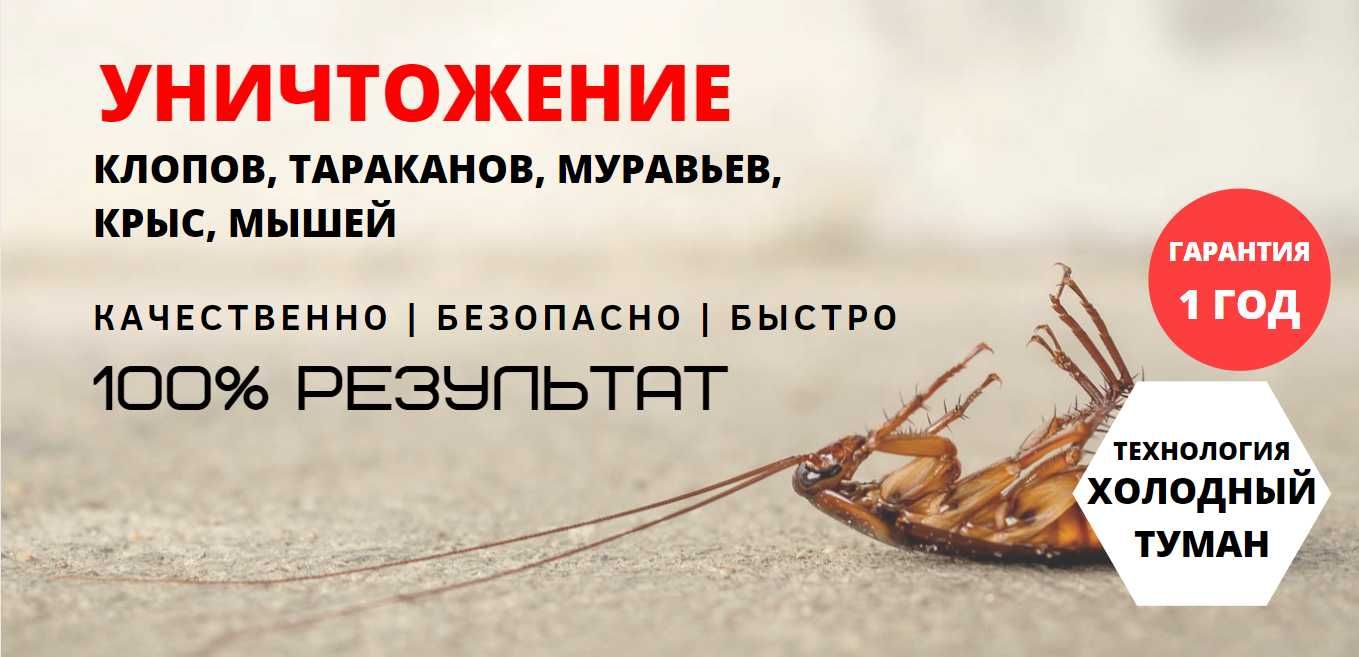 Гарантия! Лучшая цена! Дезинфекция клопов,блох,муравьев,ос,тараканов