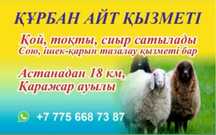 Құрбан айтқа қой сиыр