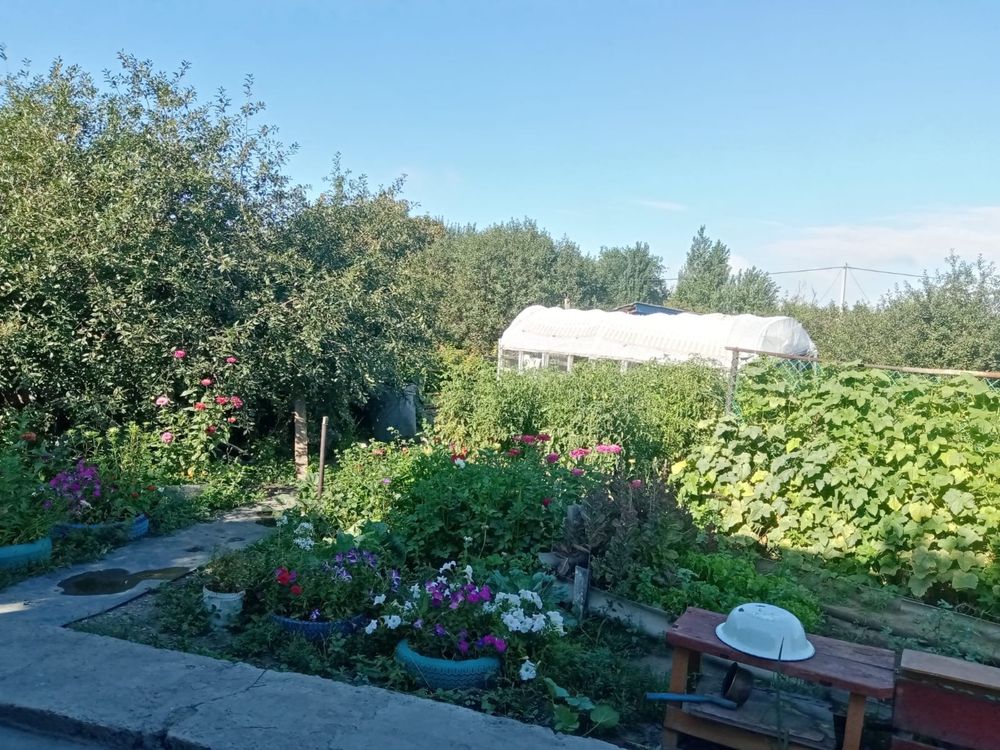 Продам дачу с насаждениями