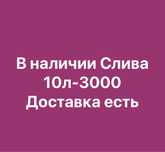 Слива домашняя крупная.