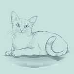 Нарисую вашего Котика