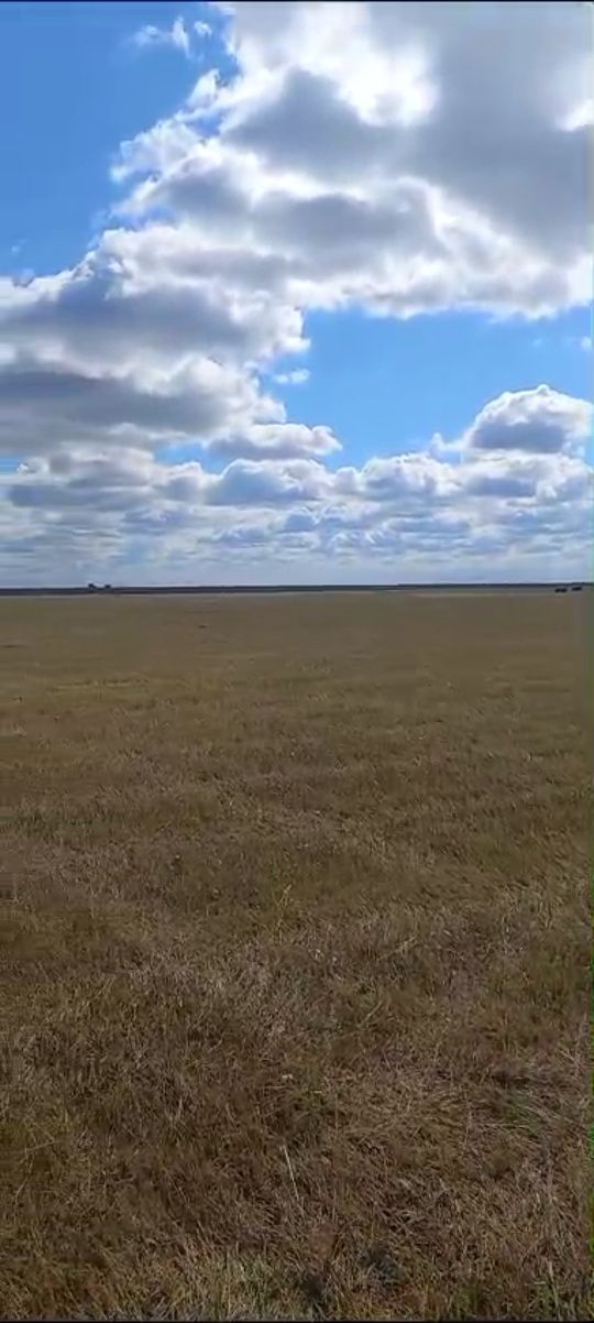 Продам земельные участок сельхоз назначения 660 гектаров