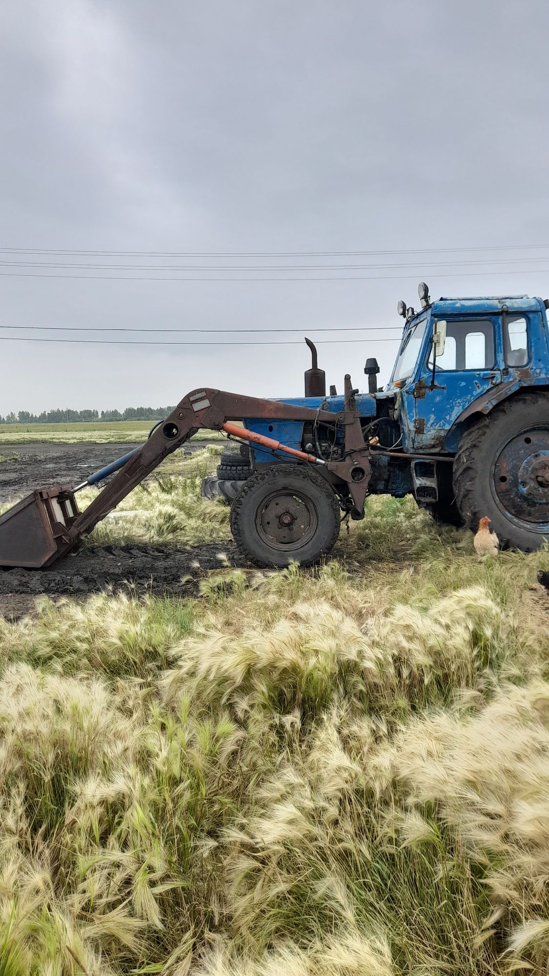 Продам трактор мтз 80 скуном