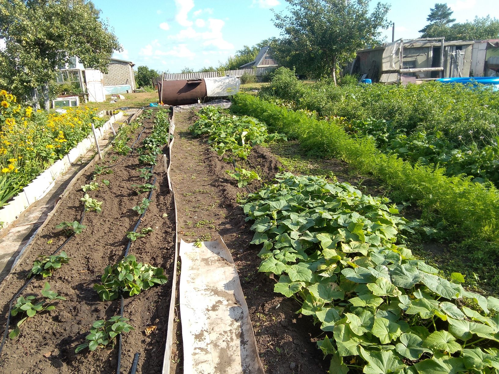 Продам дачу 7общество