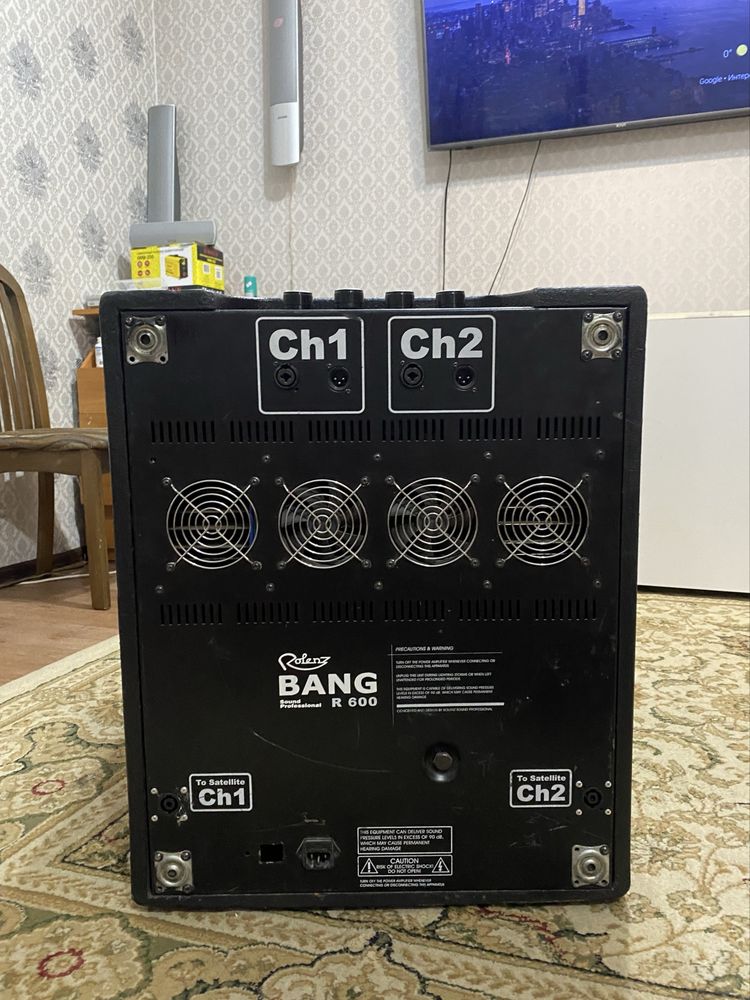Профессиональный активный сабвуфер Rolenz BANG R600