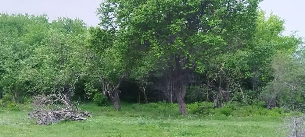 Срочно продам участок вдоль трассы Карабулак-Талдыкорган.