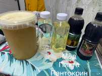 Пихта Мёд Пантокрин