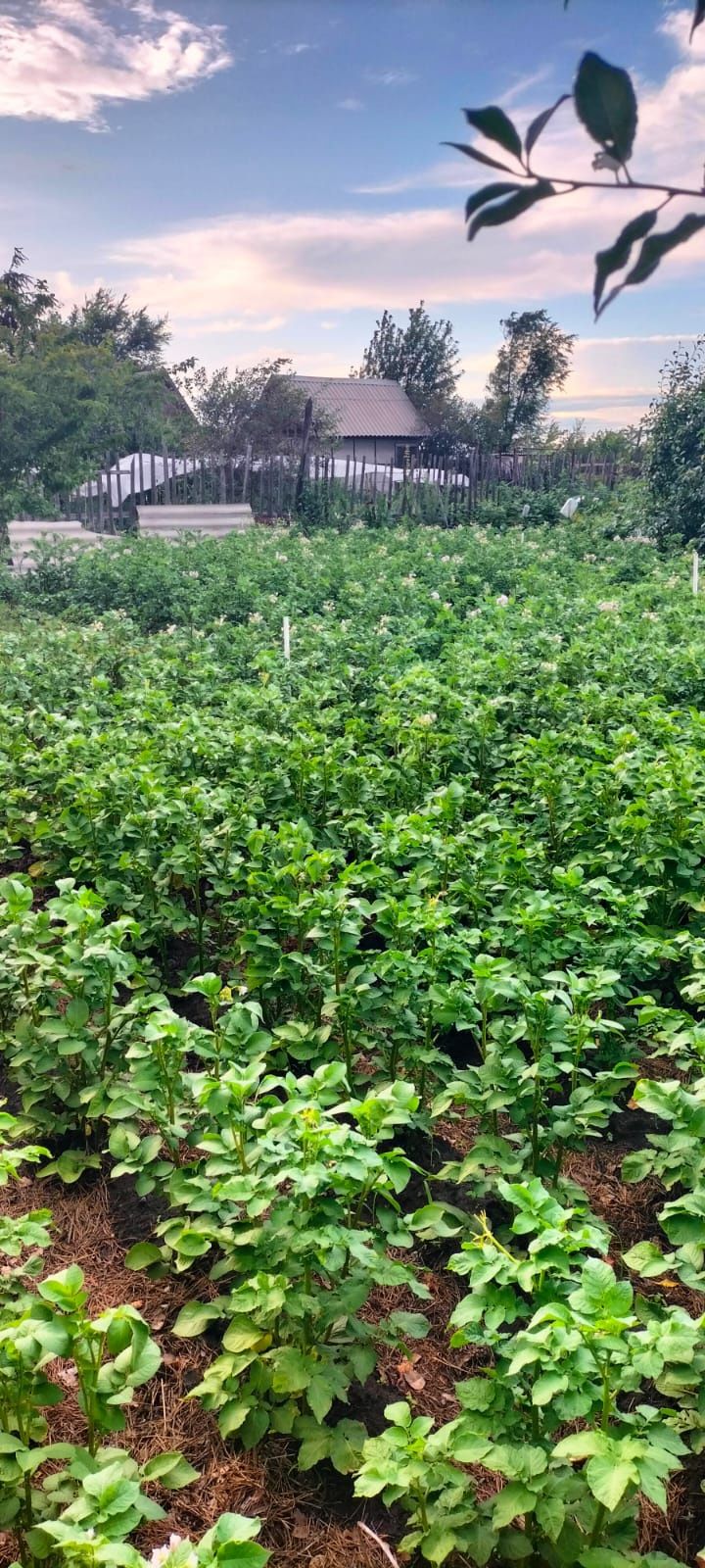 Продам дачу Текстильщик 2