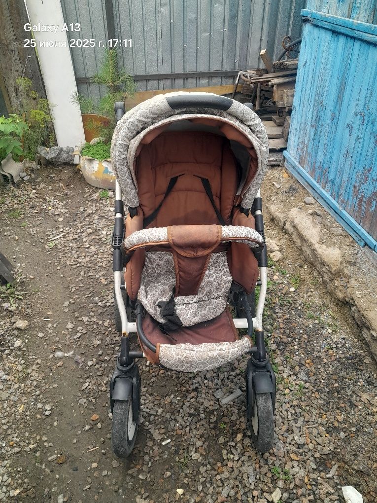 Бесплатно  отдам