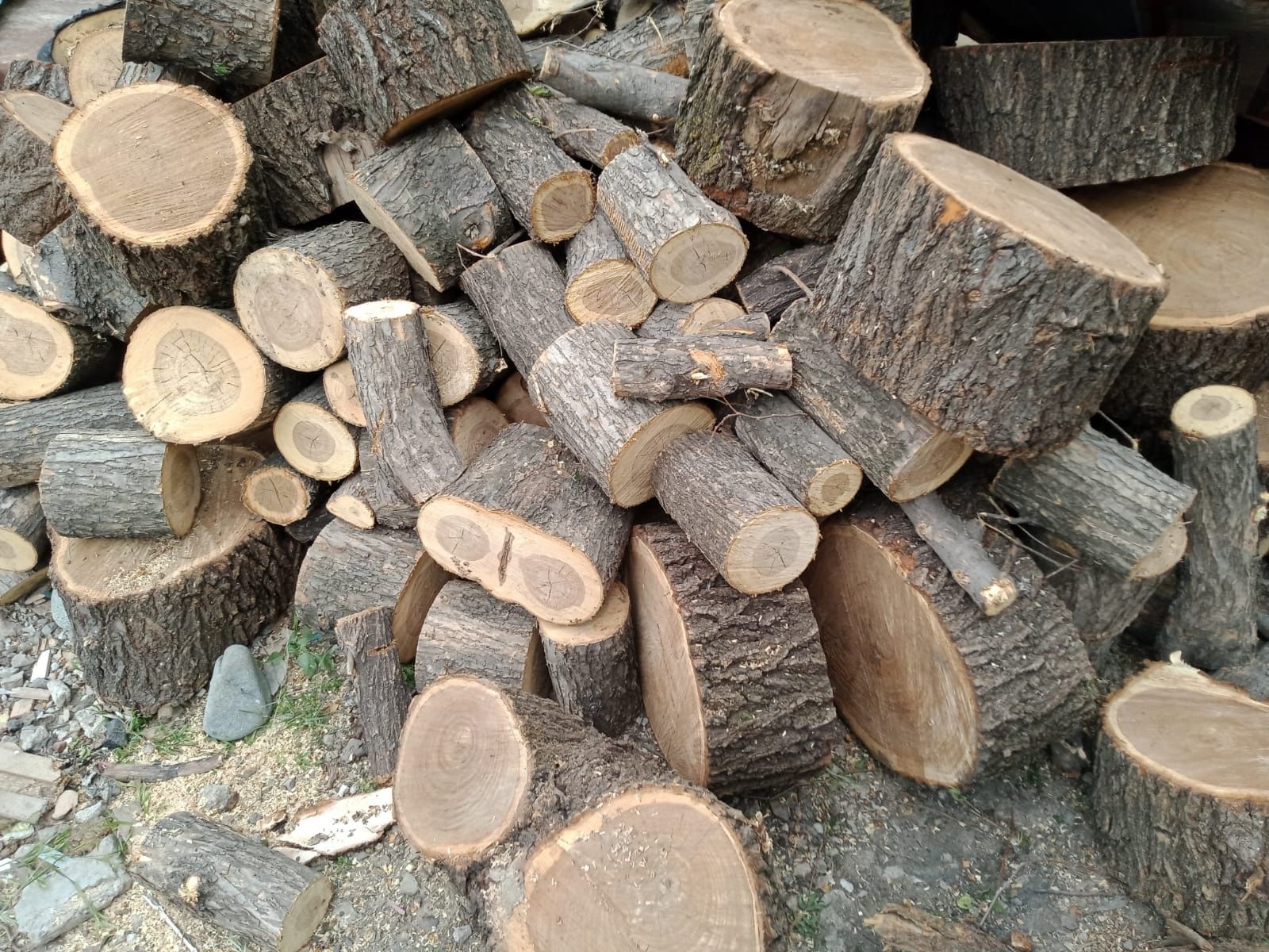 Продам  дрова  чурками  отборные  карагач