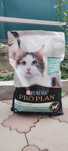 Сухой гипоаллергенный корм для кошек Purina Pro Plan LiveClear.