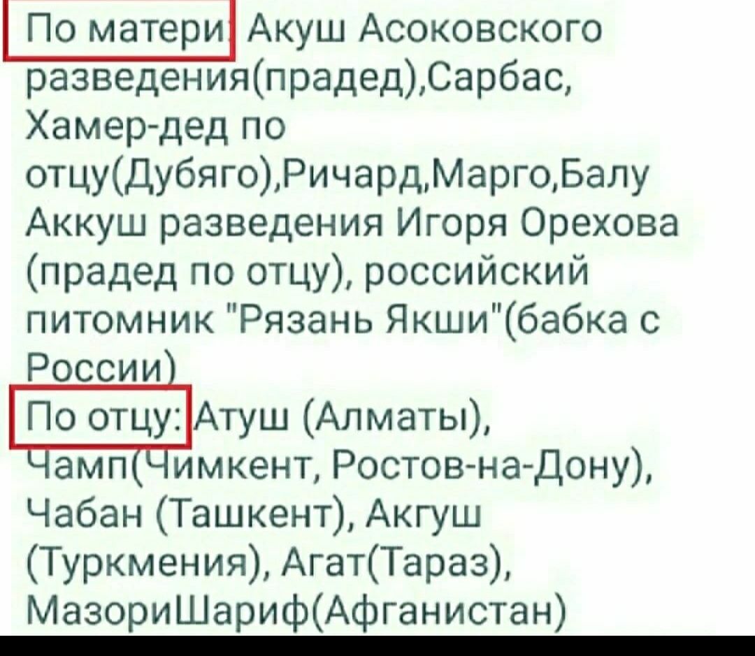 Алабай (САО) предлагается на вязку