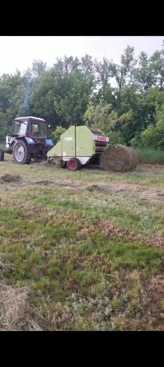 Шөп сатылады житняк аралас көккінбек шөп доставка бар.
