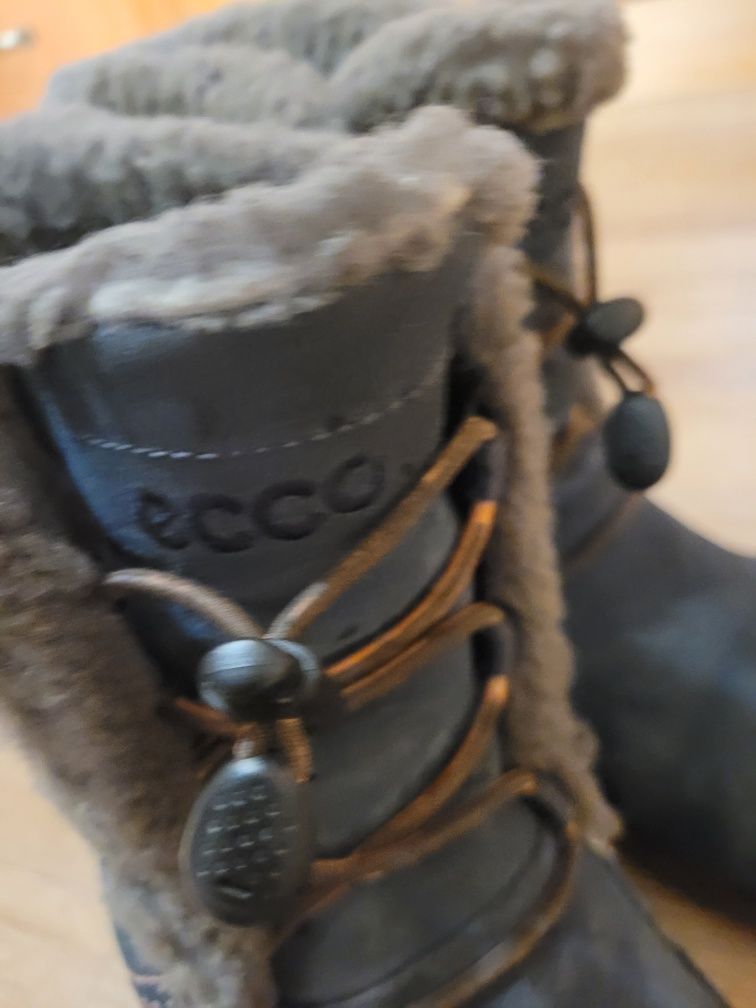 Зимние сапоги ecco