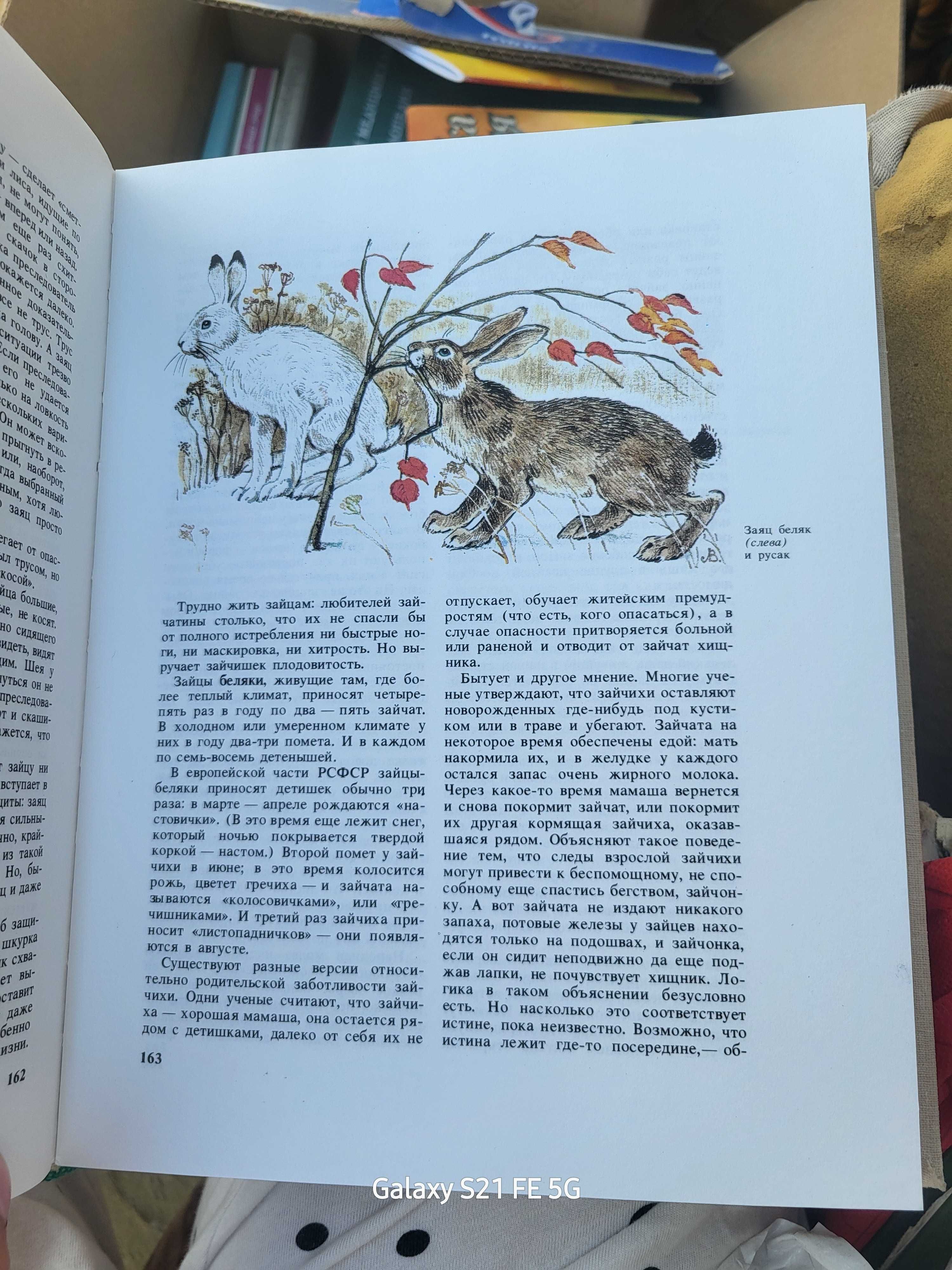 книга природы автор Дмитриев Ю.