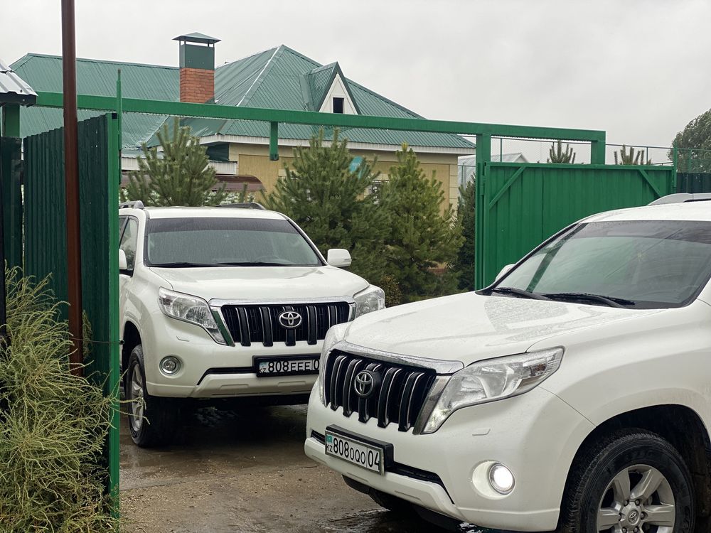 Аренда Авто, Картедж Кудалык, Трансфер, Выписка из Роддома, Кортеж