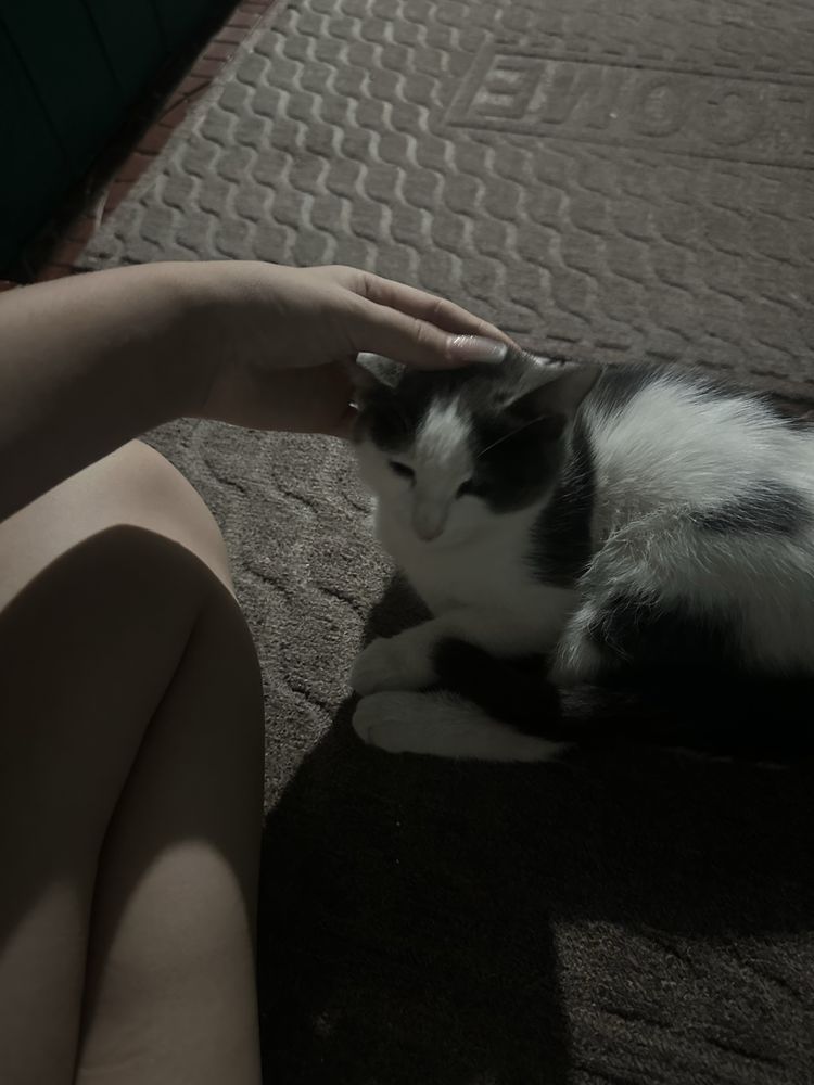 Котёнок-девочкаа