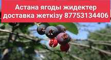 Скоро свежие ягод ирга смородина облепиха клубника малина вишня