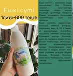 Ешкінің сүті таза, қою, дәмді