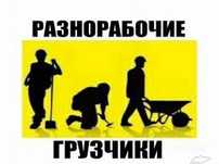 ГРУЗЧИКИ | РАЗНОРАБОЧИЕ | ЗЕМЛЯНЫЕ РАБОТЫ
Полный спектр услуг для ваше