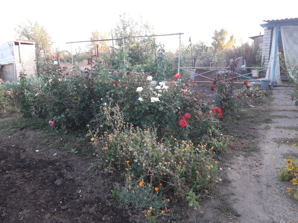 Срочно!Продам дачу