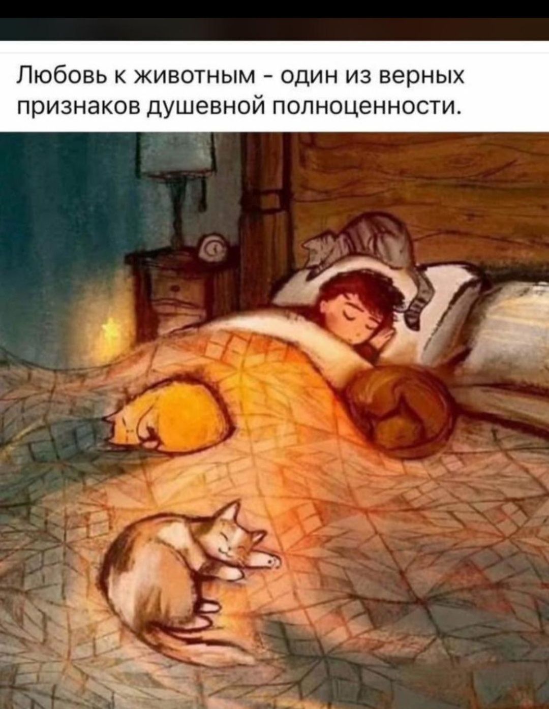 Спасите с отлово котяток и собачек,породистые и без,все добрые