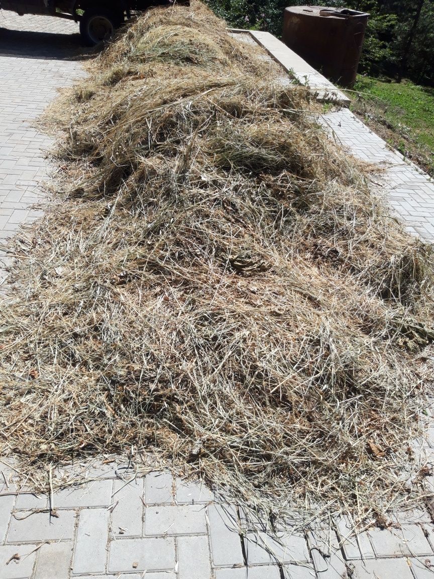 Продается сено свежее