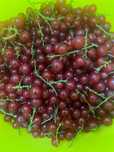 Продам домашнюю красную смородину