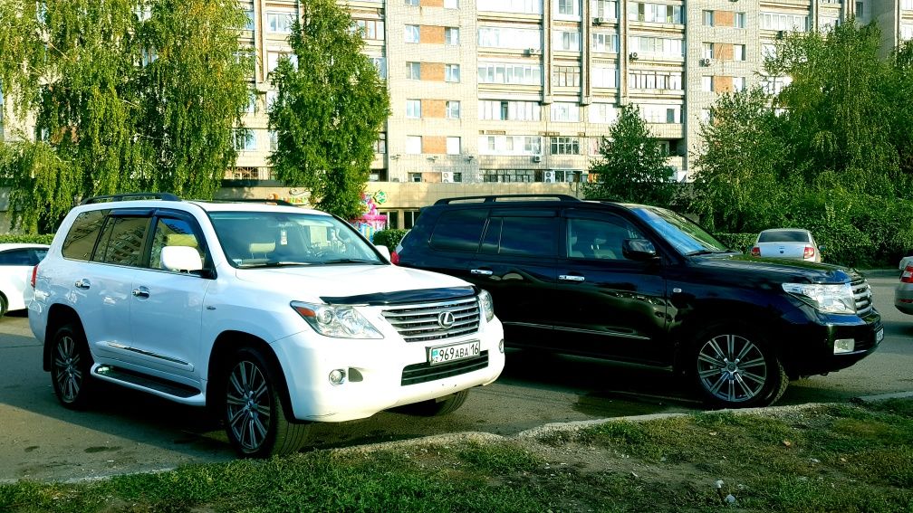 Сдам   в аренду !
