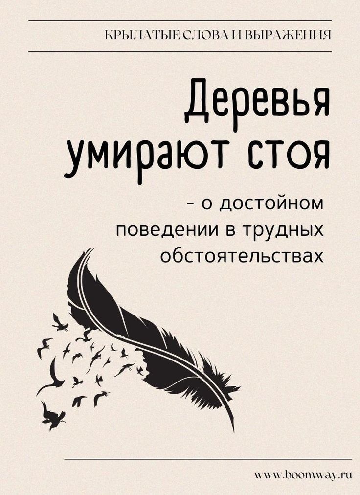 Найду любую книгу!