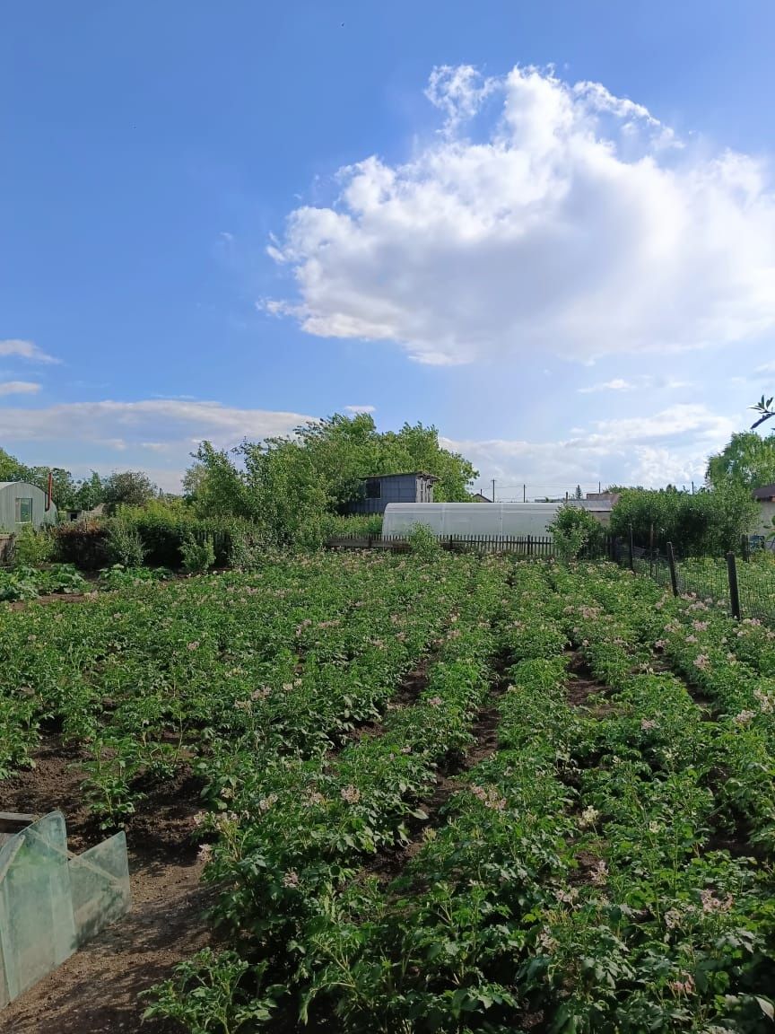 Продам дом с земельным участком