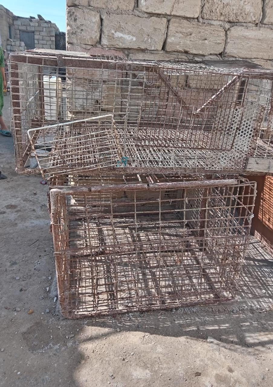 Балапаннын сеткалары сатылады.