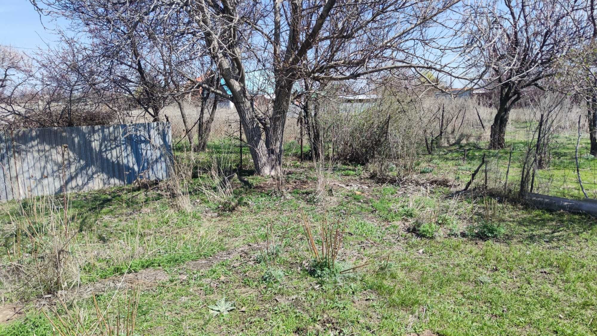 Участок 6 соток в дачном массиве
