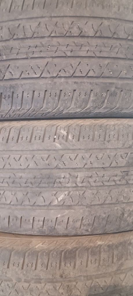 Бу ризина на 19.