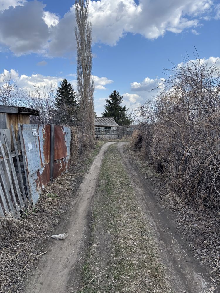 Продам дачу садовтсво яблонька грушевая алея