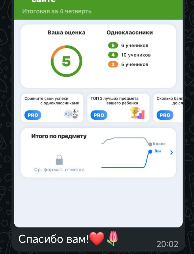 Репетитор по математике и физике, математическая грамотность