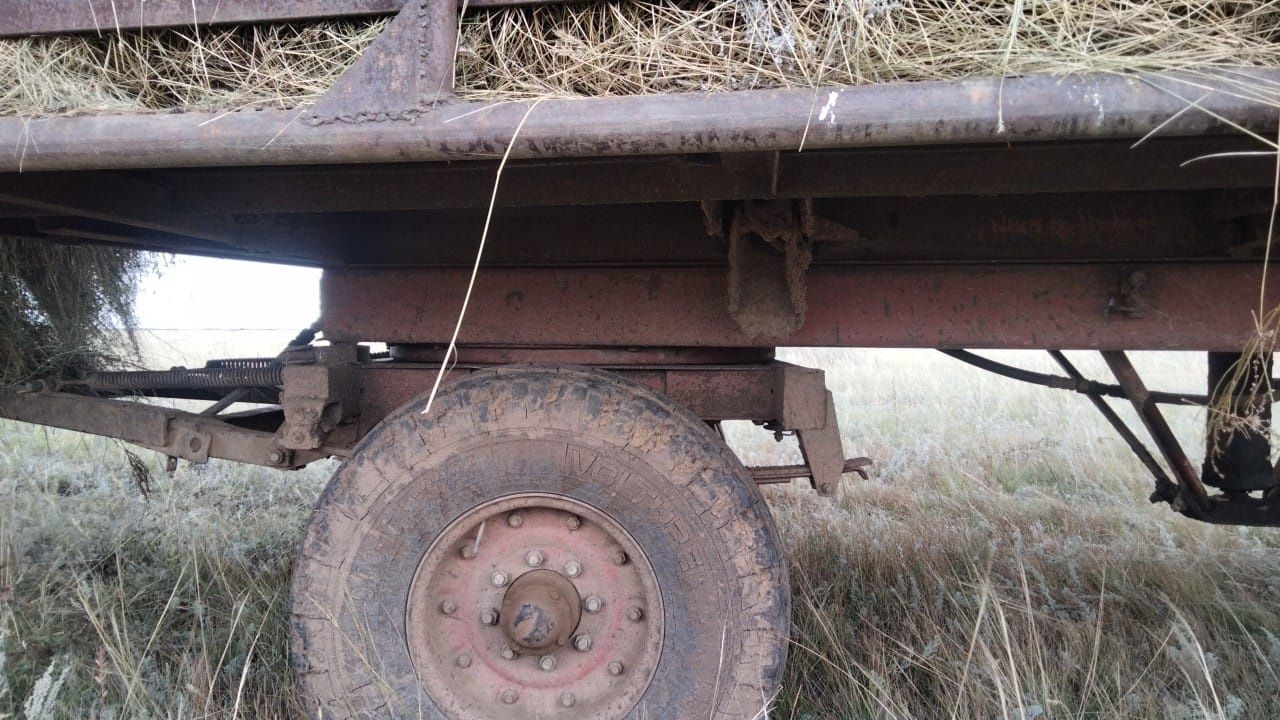 Трактор МТЗ80, Т40