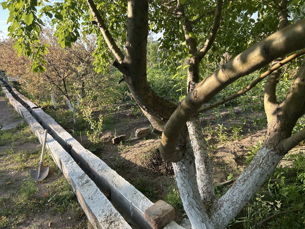 Продается дача на 1 водаколонке ПВС 1
