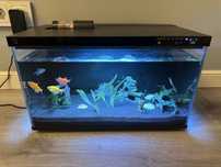Продам аквариум Xiaomi Mijia smart fish tank MYG100 c рыбками