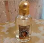 Modern muse le Rouge Lauder Fragonard