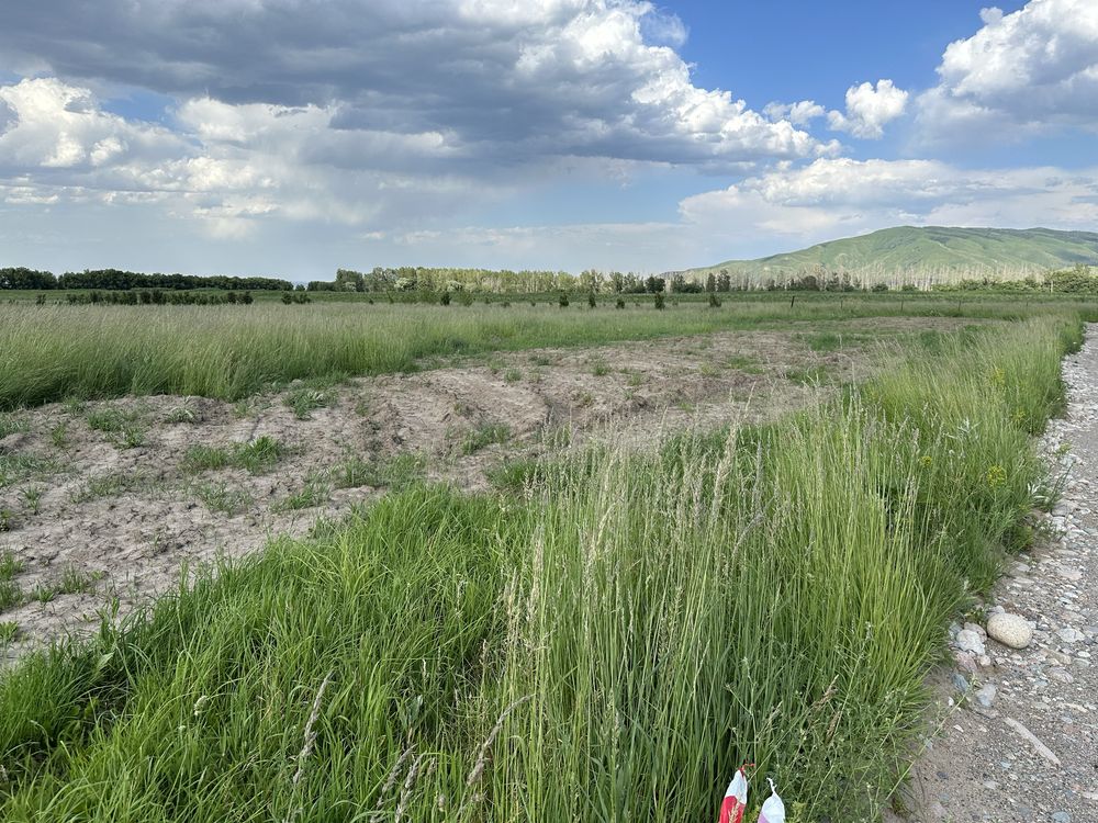 Продам земельный участок село Акдала