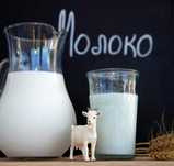 ЕШКІ СҮТІ 600ТГ Козье молоко