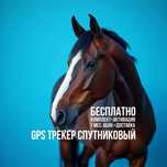 GPS для лошадей Павлодар трекер джпс гпс жпс спутниковый животных